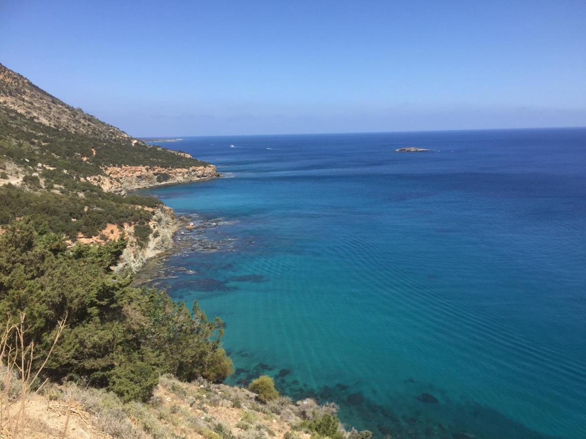 Beach Villa Gladiolus Neo Chorio Bagian luar foto